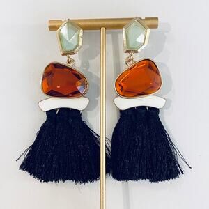 Jewel Tassel Drop Earrings